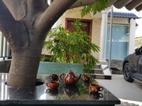 Cần bán nhanh căn nhà phố Linh Xuân Thủ Đức Cần bán nhanh căn nhà phố Linh Xuân Thủ Đức