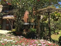 Cần tiền bán gấp Homestay tại TP Đà Lạt Cần tiền bán gấp Homestay tại TP Đà Lạt