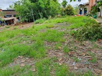 Đất sổ riêng chợ Mỹ Hạnh Nam Mặt Tiền đường 824 thuộc huyện Đức Hòa Đất sổ riêng chợ Mỹ Hạnh Nam Mặt Tiền đường 824 thuộc huyện Đức Hòa