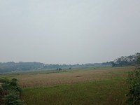 Bán gấp 1860m phù hợp nghỉ dưỡng view cao giá chỉ hơn 2ty Bán gấp 1860m phù hợp nghỉ dưỡng view cao giá chỉ hơn 2ty