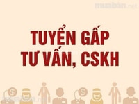Nhận nam, nữ làm việc trong quầy bách hoá mini. Nhận nam, nữ làm việc trong quầy bách hoá mini.