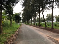 Chính chủ cho thuê đất khu dân cư Greenlife -13C Chính chủ cho thuê đất khu dân cư Greenlife -13C