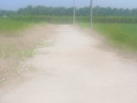 Bán gấp đất thổ cư sát Quốc Lộ 1A gần KCN Tân Hương giá 465 Triệu Bán gấp đất thổ cư sát Quốc Lộ 1A gần KCN Tân Hương giá 465 Triệu