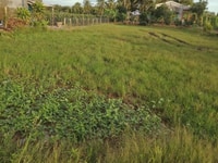 Chính chủ cần bán gấp lô đất giá rẻ ở Đức Tân, H.Tân Trụ, Long An Chính chủ cần bán gấp lô đất giá rẻ ở Đức Tân, H.Tân Trụ, Long An