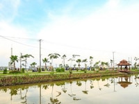 Đất thổ cư mặt tiền đường 18m khu dân cư đông 100m2 giá rẽ 850tr Đất thổ cư mặt tiền đường 18m khu dân cư đông 100m2 giá rẽ 850tr