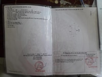 Bán Đất Giá Mềm Đường Trị Yên, Tân Kim, Cần Giuộc, Long An SHR Bán Đất Giá Mềm Đường Trị Yên, Tân Kim, Cần Giuộc, Long An SHR