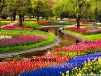 Tranh gạch 3d - gạch tranh 3d vườn hoa Tranh gạch 3d - gạch tranh 3d vườn hoa