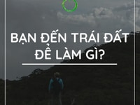 Cho thuê đất tại Sóc Sơn tỉnh lộ 131 Cho thuê đất tại Sóc Sơn tỉnh lộ 131