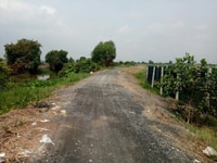 Đất vườn 515m2 giá 1,3 tỷ MT đường 157 Nguyễn Kim Cương Tân Thạnh Đông Đất vườn 515m2 giá 1,3 tỷ MT đường 157 Nguyễn Kim Cương Tân Thạnh Đông