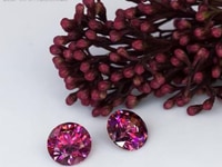 Nên mua pha lê Swarovski chính hãng ở đâu? Nên mua pha lê Swarovski chính hãng ở đâu?