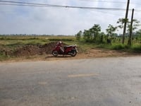 Cần Bán 4464.2m² Đất Cây Hằng Năm Ngay MT nhựa Gần Phà Tân Long Cần Bán 4464.2m² Đất Cây Hằng Năm Ngay MT nhựa Gần Phà Tân Long