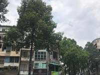 88B Hùng Vương q.5 p.9 DT 80m2 giá 28 tỷ thuê 150tr/th 88B Hùng Vương q.5 p.9 DT 80m2 giá 28 tỷ thuê 150tr/th