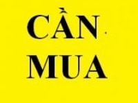Cần mua nhà chính chủ Q10, Q3, Q1, Tân Bình Cần mua nhà chính chủ Q10, Q3, Q1, Tân Bình