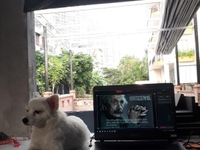 Sang nhượng mặt bằng kinh doanh đường 51 an phú đối diện the sun quận2 Sang nhượng mặt bằng kinh doanh đường 51 an phú đối diện the sun quận2