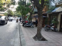 Nhà PL ô tô tránh có vỉa hè KD tốt Phố Huỳnh Thúc Kháng 58m2 14,6 tỷ Nhà PL ô tô tránh có vỉa hè KD tốt Phố Huỳnh Thúc Kháng 58m2 14,6 tỷ
