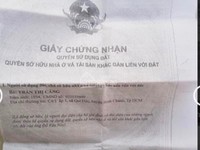 Ly hôn chồng nên bán gấp căn nhà nát trên đường Nguyễn Tri Phương, P8, Ly hôn chồng nên bán gấp căn nhà nát trên đường Nguyễn Tri Phương, P8,