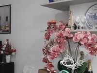 Bán nhà hèm 159 Trân Văn Đang p11 Q3 Bán nhà hèm 159 Trân Văn Đang p11 Q3