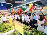 Cần tuyển gấp nhân viên kế toán bán hàng. Cần tuyển gấp nhân viên kế toán bán hàng.