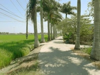 Hàng hiếm 850 m2 thổ, đường xe hơi, Đức Tân, Tân Trụ, Long An, 1.2 tỷ Hàng hiếm 850 m2 thổ, đường xe hơi, Đức Tân, Tân Trụ, Long An, 1.2 tỷ