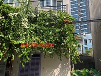 Nhà HXH Nguyễn Hữu Cảnh 4.5x18m 1trệt 1lửng,1lầu,3p, 2wc giá 16tr/th. Nhà HXH Nguyễn Hữu Cảnh 4.5x18m 1trệt 1lửng,1lầu,3p, 2wc giá 16tr/th.