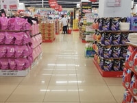 Nhân Dịp Tết Bổ Sung Nhân Viên Bán Hàng Tại Quầy Nhân Dịp Tết Bổ Sung Nhân Viên Bán Hàng Tại Quầy
