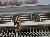 Bán nhà hẻm đường số 10 Lê Văn Quới, 4x11,5m, 1 lầu, giá 3 tỷ Bán nhà hẻm đường số 10 Lê Văn Quới, 4x11,5m, 1 lầu, giá 3 tỷ