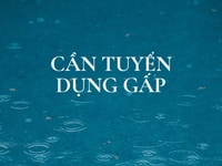 Hệ thống cửa hàng cần tuyển gấp nhân viên bán hàng tại quầy Hệ thống cửa hàng cần tuyển gấp nhân viên bán hàng tại quầy