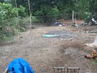 Bán đất thuộc ấp phú nghĩa xã phú hữu huyện châu thành Bán đất thuộc ấp phú nghĩa xã phú hữu huyện châu thành