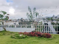 Cần bán villa sân vườn đường Hoàng Hoa Thám, Phường 10, TP Đà Lạt Cần bán villa sân vườn đường Hoàng Hoa Thám, Phường 10, TP Đà Lạt