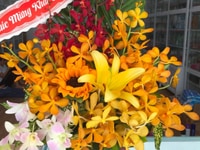 Cửa hàng khai trương cần tuyển nhân viên thu ngân Cửa hàng khai trương cần tuyển nhân viên thu ngân