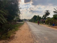 Kẹt tiền bán gấp lô đất ngay ấp Cây Xoài,Thanh Phước,Gò Dầu,Tây Ninh Kẹt tiền bán gấp lô đất ngay ấp Cây Xoài,Thanh Phước,Gò Dầu,Tây Ninh