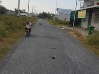 Bán đất khu dân cư Đông Phú,huyện Châu Thành ,tỉnh Hậu Giang. Nền 100m Bán đất khu dân cư Đông Phú,huyện Châu Thành ,tỉnh Hậu Giang. Nền 100m