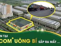 Đất nền Vincom Trung tâm thành phố Uông Bí - Sổ đỏ lâu dài – CK khủng Đất nền Vincom Trung tâm thành phố Uông Bí - Sổ đỏ lâu dài – CK khủng