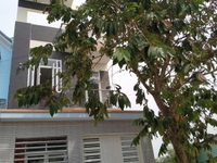 Bán nhà nguyên căn, 90m2 2 tầng tiện kinh doanh,giá 1.6 tỷ Bán nhà nguyên căn, 90m2 2 tầng tiện kinh doanh,giá 1.6 tỷ