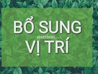 Nhân Viên Bên Mảng Trợ Lý Nhân Sự Nhân Viên Bên Mảng Trợ Lý Nhân Sự