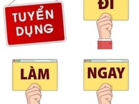 Cần tuyển Thư Ký Kinh Doanh làm giờ hành chính Cần tuyển Thư Ký Kinh Doanh làm giờ hành chính