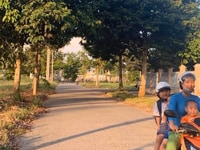 Vui xuân đón tết cùng chương trình Vui xuân đón tết cùng chương trình