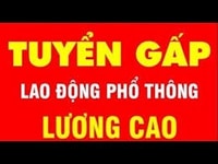 Việc Làm Tuyển Thời Vụ Tết Lơ Xe Phụ Kho 400 ngàn/ ngày Lương Tuần Việc Làm Tuyển Thời Vụ Tết Lơ Xe Phụ Kho 400 ngàn/ ngày Lương Tuần