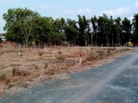 Bán 570m2 đất giá 1ty3 Phước Hội , huyện Đất Đỏ , BR-VT Bán 570m2 đất giá 1ty3 Phước Hội , huyện Đất Đỏ , BR-VT
