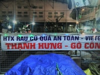 Rau củ quả an toàn Vietgap Thạnh Hưng Rau củ quả an toàn Vietgap Thạnh Hưng