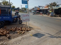 Tôi bán 85m2 mặt tiền Phạm Thị cầm phước lâm 780trieu Tôi bán 85m2 mặt tiền Phạm Thị cầm phước lâm 780trieu