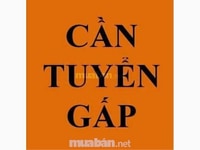 Tuyển nhân viên bán hàng ưu tiên cho người cao tuổi Tuyển nhân viên bán hàng ưu tiên cho người cao tuổi