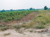 Bán thửa đất thổ vườn 40m×40m đường Vườn Thơm xã bình lợi HBC Bán thửa đất thổ vườn 40m×40m đường Vườn Thơm xã bình lợi HBC