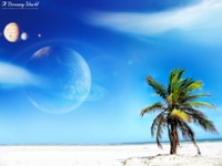 Tuyển nam/nữ an ninh, giữ giỏ, quẹt thẻ tại tào nhà Tuyển nam/nữ an ninh, giữ giỏ, quẹt thẻ tại tào nhà