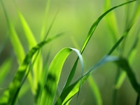 Tuyển nam nữ bảo vệ giám sát an ninh lương cao, chế độ tốt Tuyển nam nữ bảo vệ giám sát an ninh lương cao, chế độ tốt