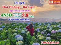 Tour Hải Phòng - Đà Lạt Tết âm lịch 2020 giá rẻ chỉ 4,9 tr/ng Tour Hải Phòng - Đà Lạt Tết âm lịch 2020 giá rẻ chỉ 4,9 tr/ng