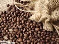 Cung cấp giá sỉ cafe hạt nguyên chất 100% không hóa chất nhuộm màu Cung cấp giá sỉ cafe hạt nguyên chất 100% không hóa chất nhuộm màu