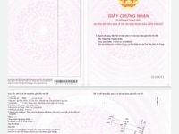 Đất Thổ Cư sổ hồng riêng KDC Tân Kim giá rẻ nhất Đất Thổ Cư sổ hồng riêng KDC Tân Kim giá rẻ nhất