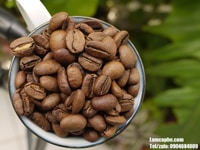Cafe hạt nguyên chất 100%, rang công nghệ sạch nhập khẩu giá bán sỉ Cafe hạt nguyên chất 100%, rang công nghệ sạch nhập khẩu giá bán sỉ