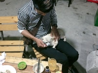 Phốc chihuahua giá sinh viên ai cần alo Phốc chihuahua giá sinh viên ai cần alo